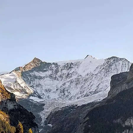 Fiescherblick جريندلوالد